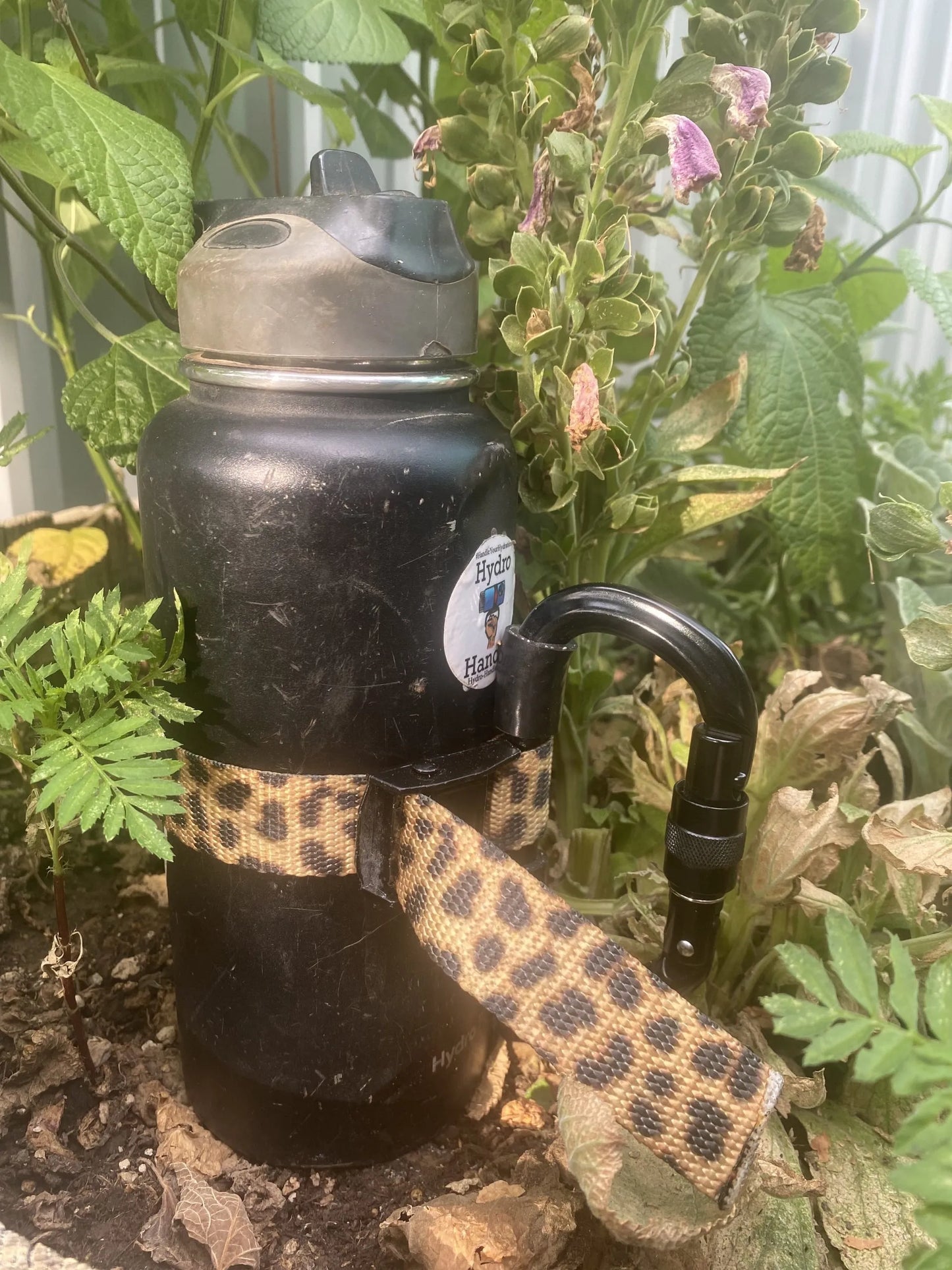 Leopard